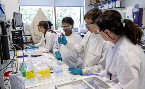 Biomedical Engineering (Electronics) Taster Course